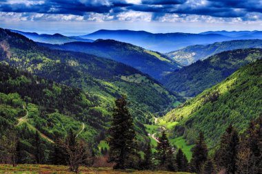 Feldberg dağ bahar
