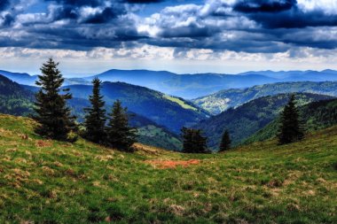 Feldberg dağ bahar