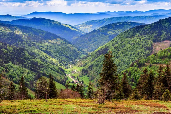 Montaña Feldberg en primavera —  Fotos de Stock