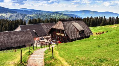 Feldberg dağ kulübede bahar