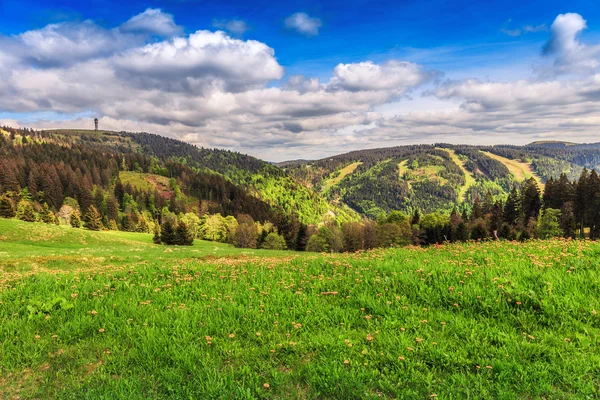 Feldberg Mountain in Spring — Stock Photo, Image