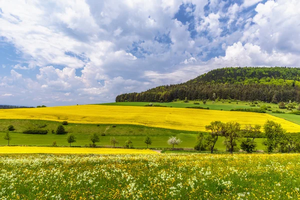 Primavera alemã paisagem rural — Fotografia de Stock