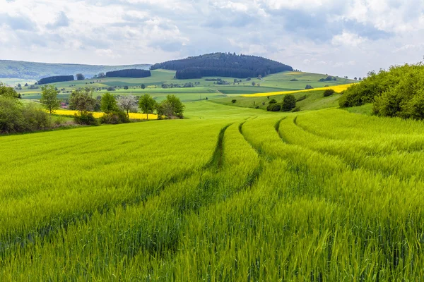 Paisaje rural de primavera alemán — Foto de Stock