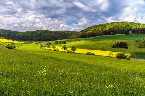 Alman bahar kırsal manzara — Stok fotoğraf