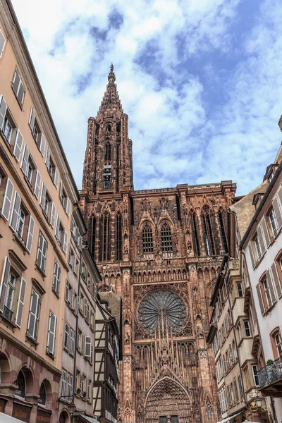 Katedralen i Strasbourg — Stockfoto