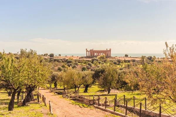Valley of Temples, Agrigento Sicily in Italy — Stock Photo, Image