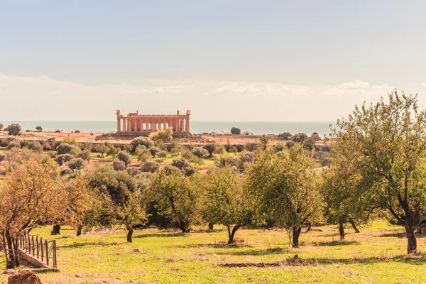 Tapınaklar Vadisi, İtalya Sicilya'da Agrigento — Stok fotoğraf