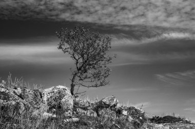 Zarif siyah beyaz manzara Sicilya