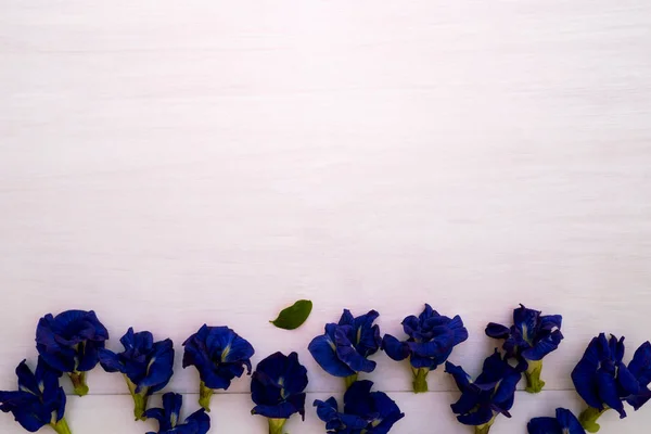 Ansicht Der Erbsenblüten Auf Weißem Holztisch — Stockfoto