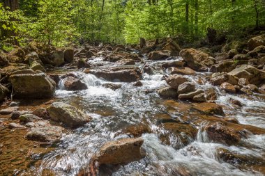 Ilse Harz Almanya denilen küçük nehir