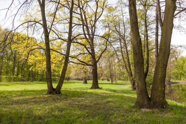 Natura al Castello Charlottenburg a Berlino — Foto Stock