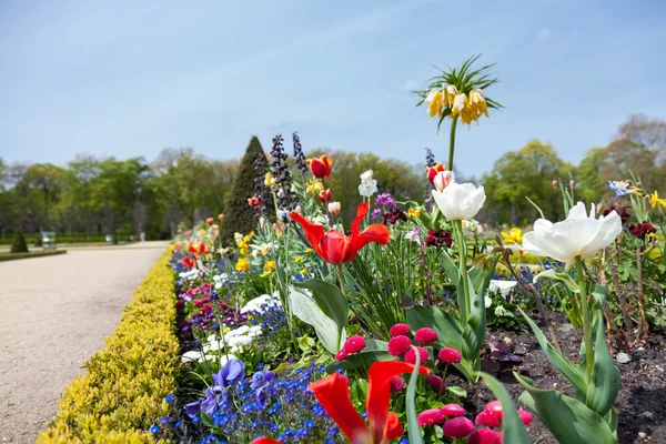 Kasteel Charlottenburg in Berlijn en de natuur Stockfoto