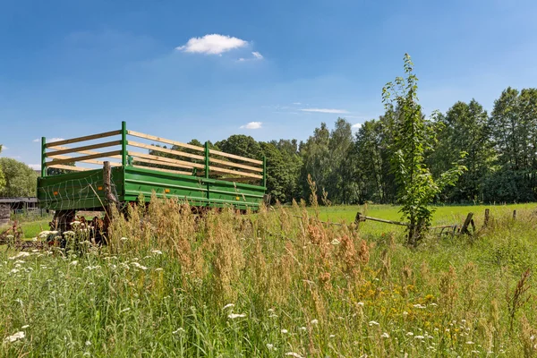 Natuur rondom Strausberg in de buurt van Berlijn — Stockfoto