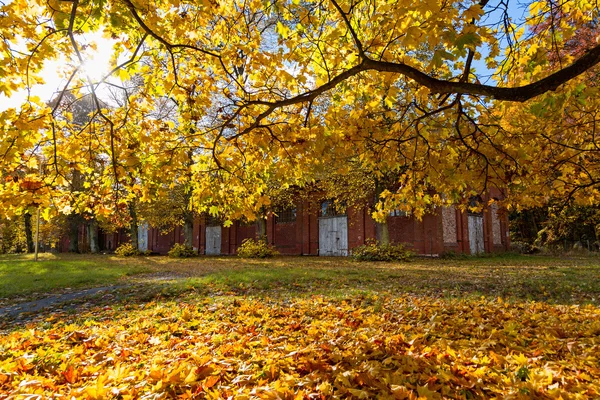 Röd ladugård på en vacker solig dag — Stockfoto