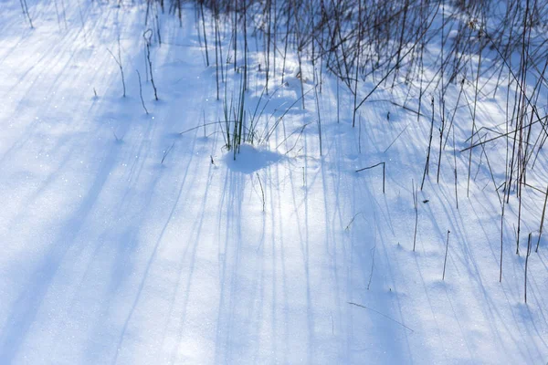 Parkta kar parlak güneşli mutlu kış günü. Karda ağaçların gölgeleri var..