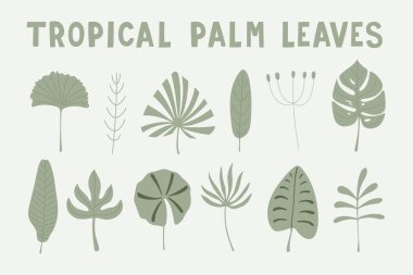 Poster, tropik palmiye ağaçlarının narin yeşil yapraklarını yerleştirdi. Vektör el çizimi illüstrasyon. Çocuk dokusu, bebek kıyafetleri, kumaş, ambalaj, tekstil, duvar kağıdı, giyim, tasarım, iç mimari için yaratıcı bir daire.