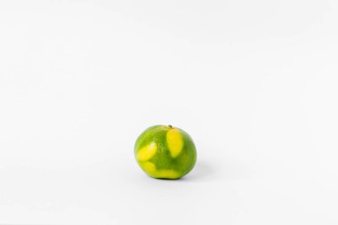 turuncu ve limon ve olgun yeşil ve sarı mandalinalar ve beyaz arkaplanda portakal dilimleri