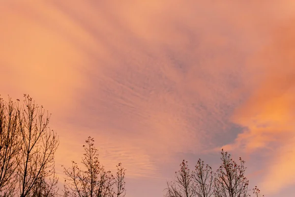 Růžové Slunce Mraky Západ Slunce Obloha — Stock fotografie