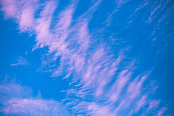 Bakgrund Färgglada Rosa Blå Himmel Suddig Himmel Panorama Panoramabild Vacker — Stockfoto