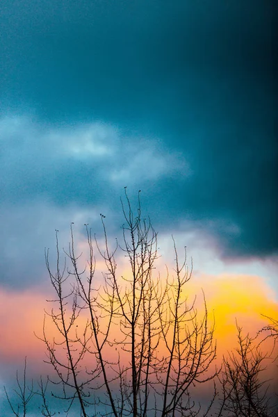 Ackground Colorido Cielo Azul Rosado Panorama Borroso Del Cielo Foto —  Fotos de Stock