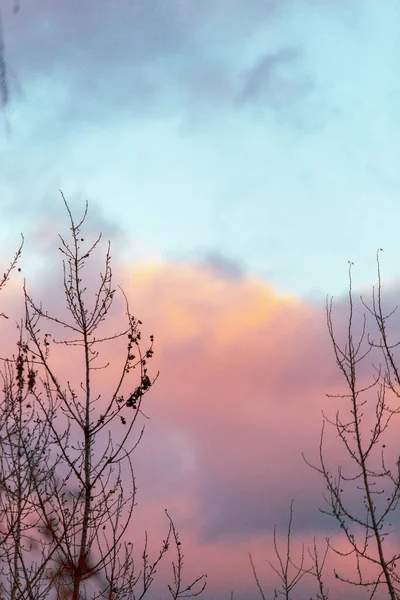 Ackground Colorato Cielo Blu Rosa Panorama Cielo Sfocato Scatto Panoramico — Foto Stock
