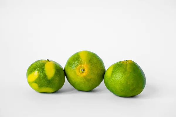 Appelsin Lime Mandariner Hvid Baggrund - Stock-foto