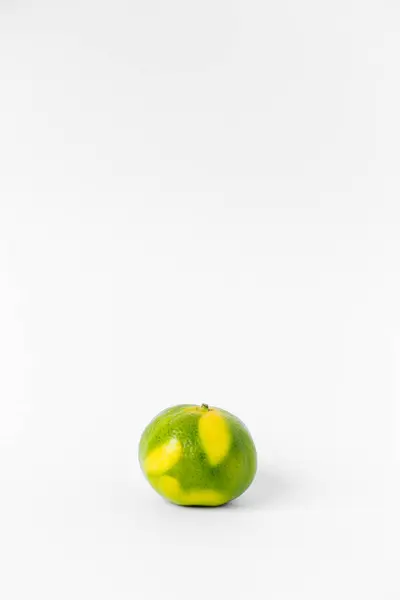 Orange Citron Vert Mandarines Sur Fond Blanc — Photo