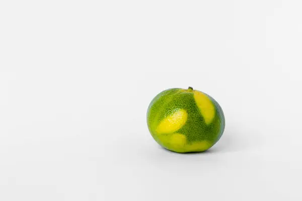 Orange Citron Vert Mandarines Sur Fond Blanc — Photo