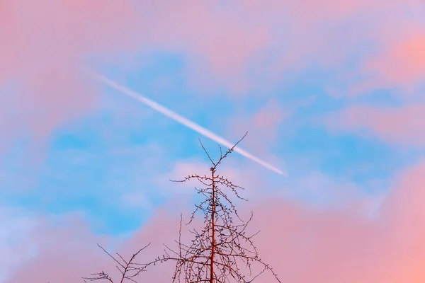 Voetafdruk Van Het Vliegtuig Achtergrond Van Kleurrijke Roze Blauwe Lucht — Stockfoto