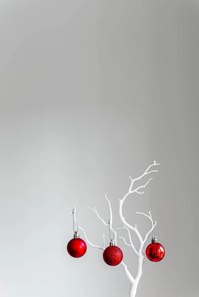 Kırmızı Noel Topları Beyaz Dalda Açık Koyu Arkaplanda Bir Fincanda — Stok fotoğraf