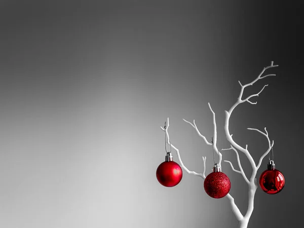 Boules Noël Rouges Sur Branche Blanche Sur Fond Clair Sombre — Photo