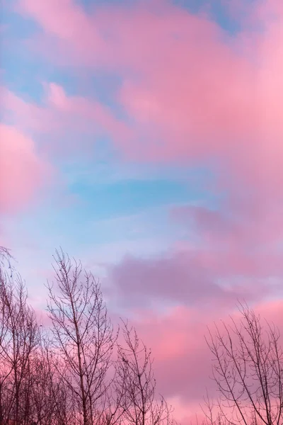 Nuvens Cor Rosa Céu Azul Pôr Sol Nascer Sol — Fotografia de Stock