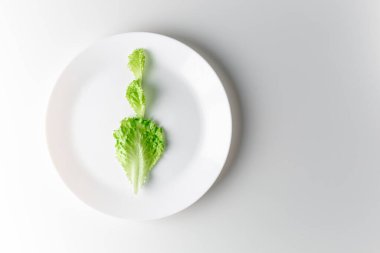 Beyaz arka planda beyaz tabakta üç marul yaprağı var. Sağlıklı gıda konsepti. Vegan kavramı.