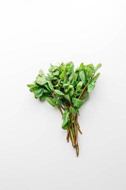 Beyaz ve yeşil arka planda izole edilmiş taze nane. Nane yaprağı dalı 