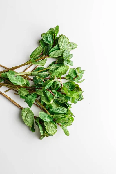 Menta Fresca Isolada Sobre Fundo Branco Verde Galho Folhas Hortelã — Fotografia de Stock