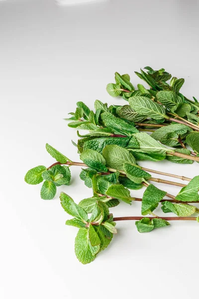 Menta Fresca Isolada Sobre Fundo Branco Verde Galho Folhas Hortelã — Fotografia de Stock