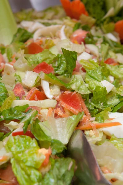 Salade van verse groenten — Stockfoto