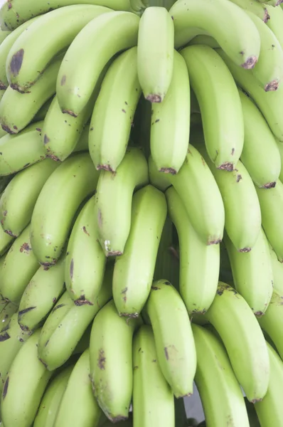 Plátanos verdes de cerca — Foto de Stock