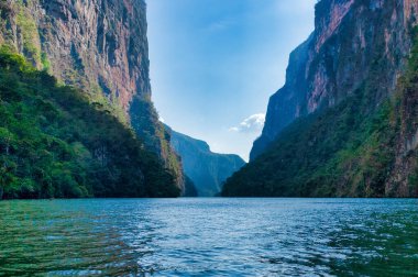 Meksika, Chiapas 'taki Sumidero Ulusal Parkı' ndaki Grijalba Nehri 'ndeki dik kayalık bir kayadan Sumidero Kanyonu manzarası..