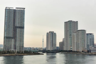 24 Aralık 2020 - Tokyo, Japonya 'da bir göl ve Tokyo Skytree yakınlarındaki binalar.