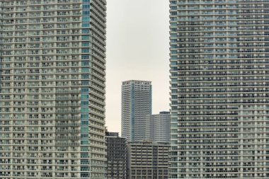24 Aralık 2020 - Tokyo, Japonya 'da bir göl ve Tokyo Skytree yakınlarındaki binalar.