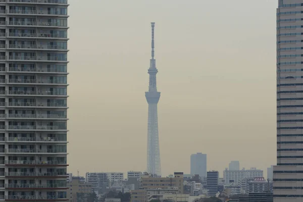 Aralık 2020 Tokyo Japonya Bir Göl Tokyo Skytree Yakınlarındaki Binalar — Stok fotoğraf