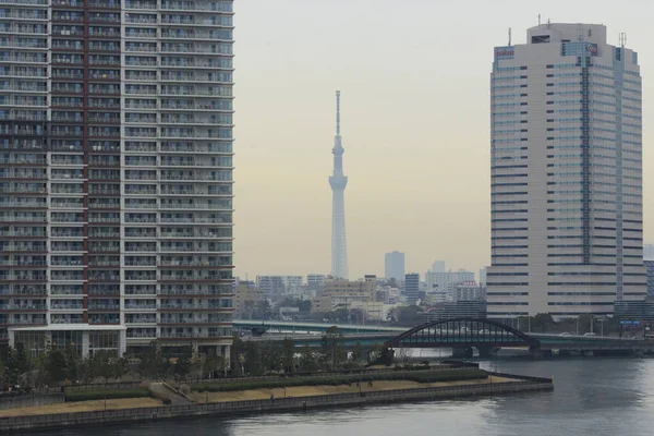 24 Aralık 2020 - Tokyo, Japonya 'da bir göl ve Tokyo Skytree yakınlarındaki binalar.