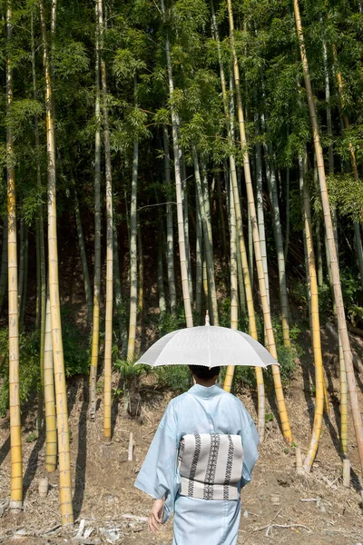 Bambu Ormanı 'nda geleneksel Japon kimonosu giyen Asyalı kadın..