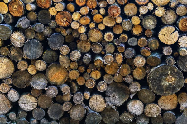 Annual rings on a sawn tree. Stacked logs Close-up. Background with saw cut texture