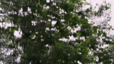 Sokağa bakan yağmur damlalı ıslak cam..