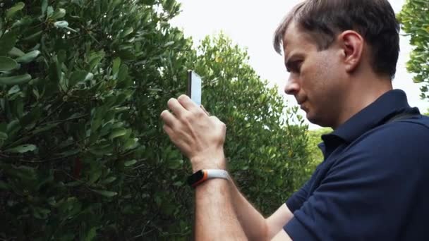 Turisti mies tekee puu lähikuva video älypuhelin Trooppinen vihreä metsä — kuvapankkivideo