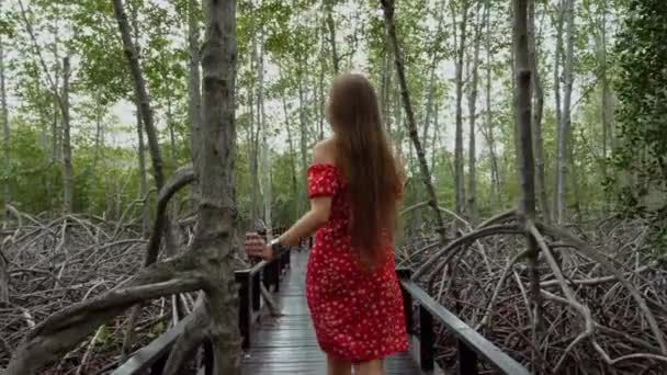 Μόνος Τουριστικές βόλτες στη γέφυρα και απολαμβάνοντας τη φύση στο πάρκο με δέντρα Mangrove — Αρχείο Βίντεο