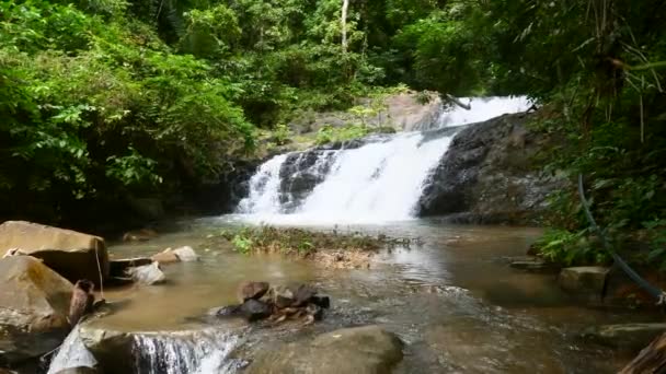 Mały kaskadowy wodospad w Mountain River w Tropical Forest w Tajlandii — Wideo stockowe