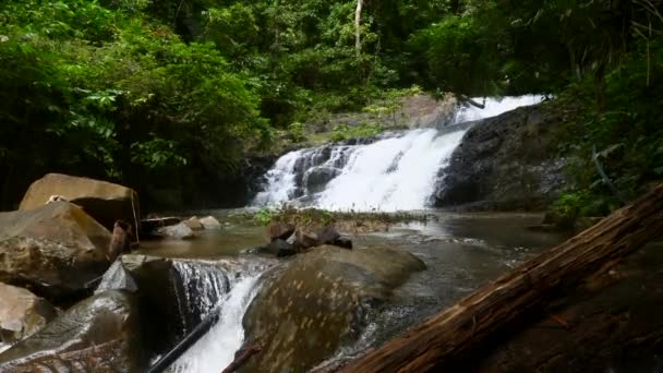 Mały kaskadowy wodospad w Mountain River w Tropical Forest w Tajlandii — Wideo stockowe